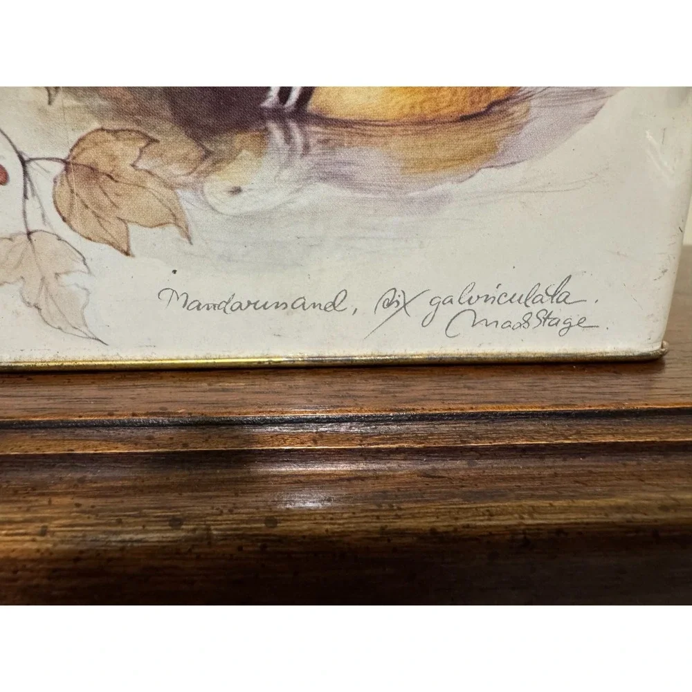 Fable England this vintage